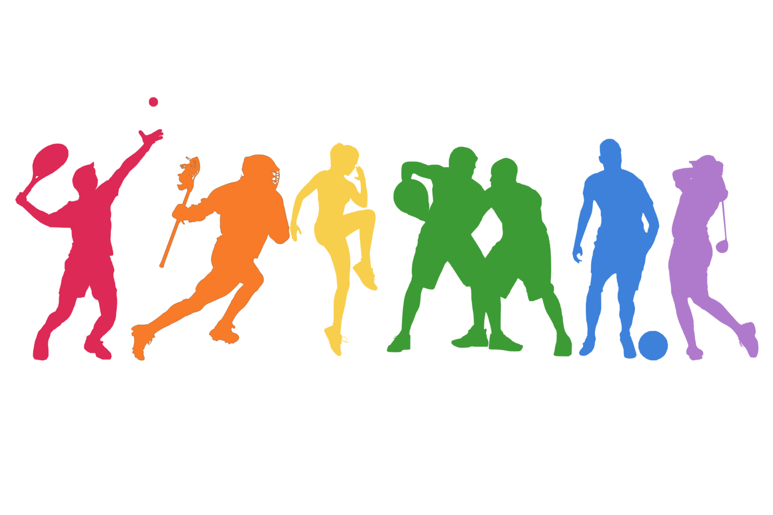 Gendered sports teams: How do they affect the game? - Excalibur